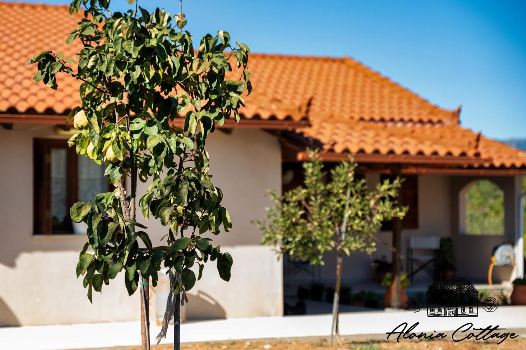 Holiday home Alonia